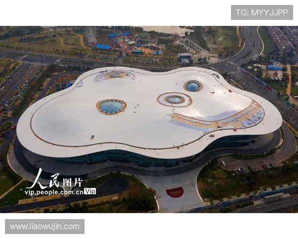 南京极限运动队协作模式研究与实践探索之路 南京极限运动队协作模式研究与实践探索之路