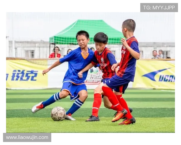 杭州篮球队的拼搏之路：从默默无闻到赛场辉煌的奋斗历程