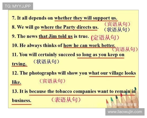 独家解析WE节奏变化对比及其对战绩的影响分析