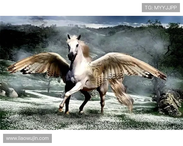 达拉飞马与梦想的碰撞探讨追求与现实的交织与反思 达拉飞马与梦想的碰撞探讨追求与现实的交织与反思